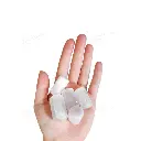 12.webp