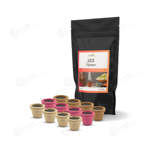 [MI-ICUP01] Mix Scents - Premium Incense Cups (Sambrani)